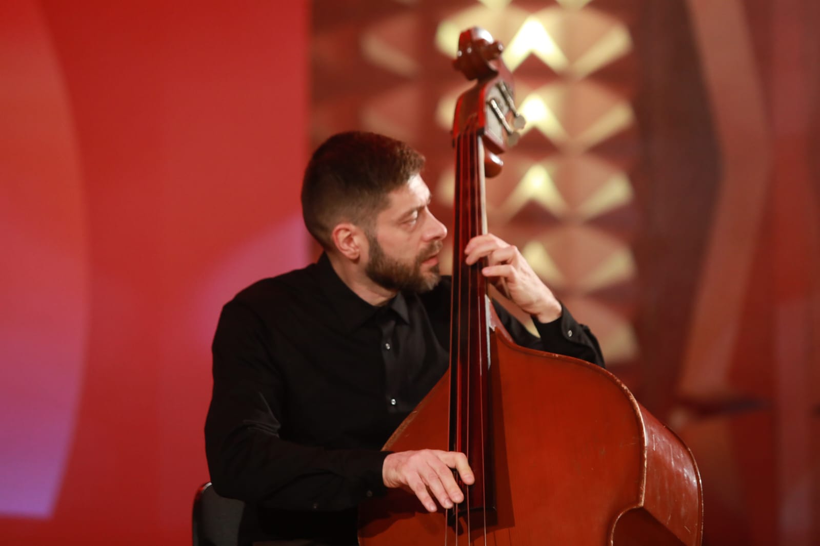 ioana sarbu band concert filarmonica (15)