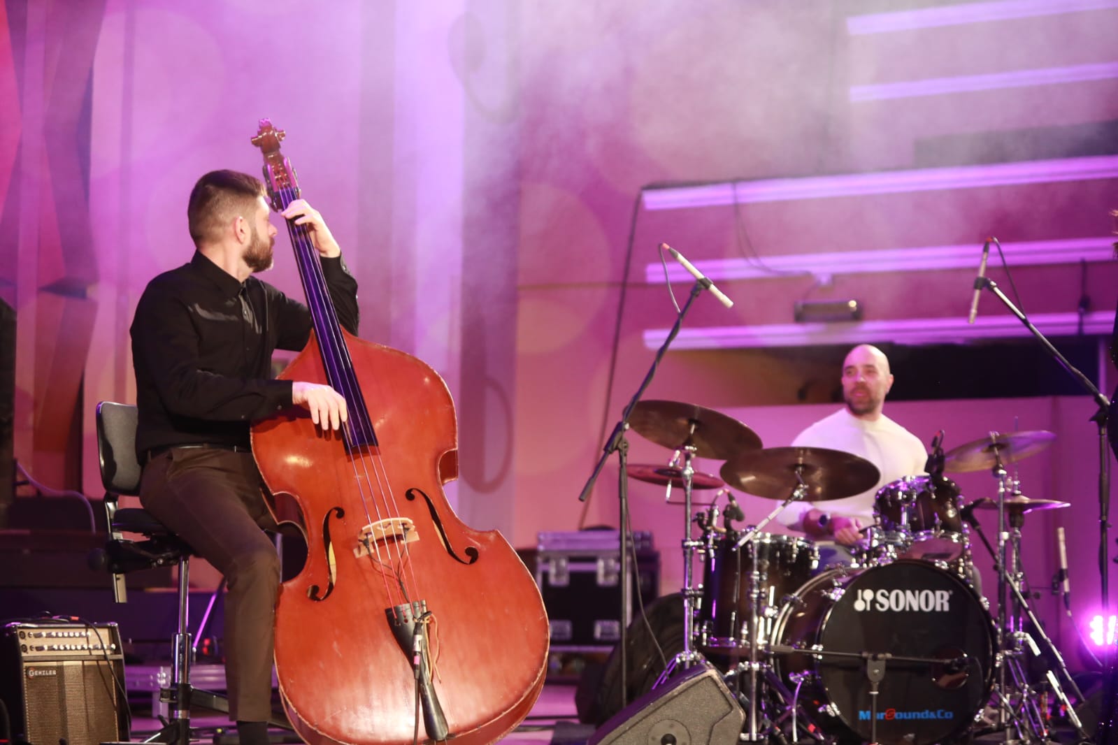 ioana sarbu band concert filarmonica (20)