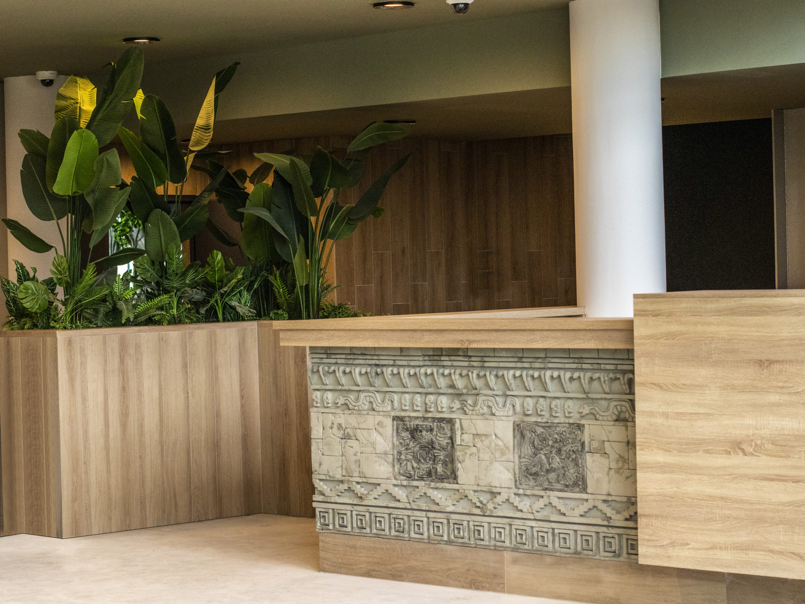 Amazonia_front-Office