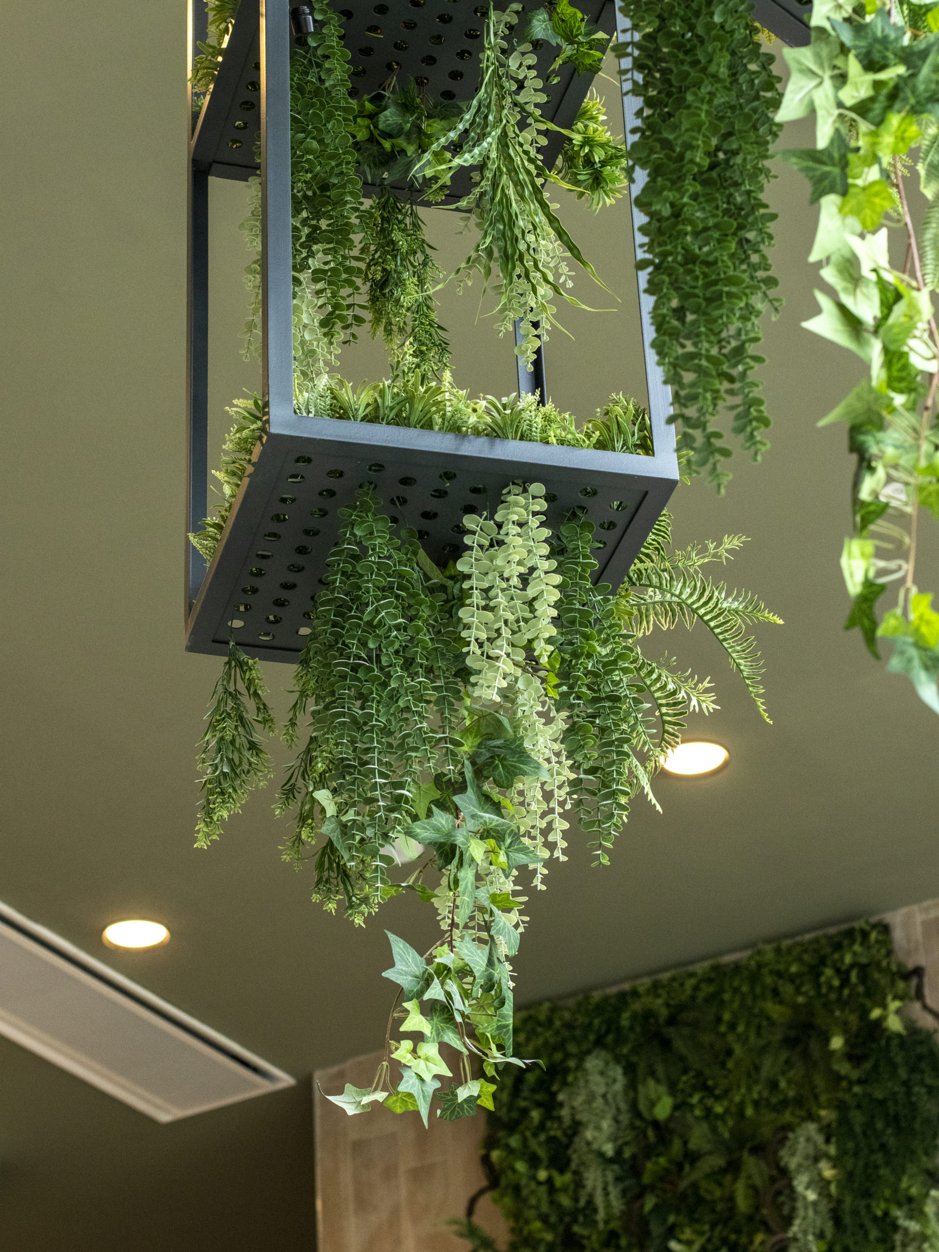 Amazonia_Intrare_Corp-ematic-Suspendat