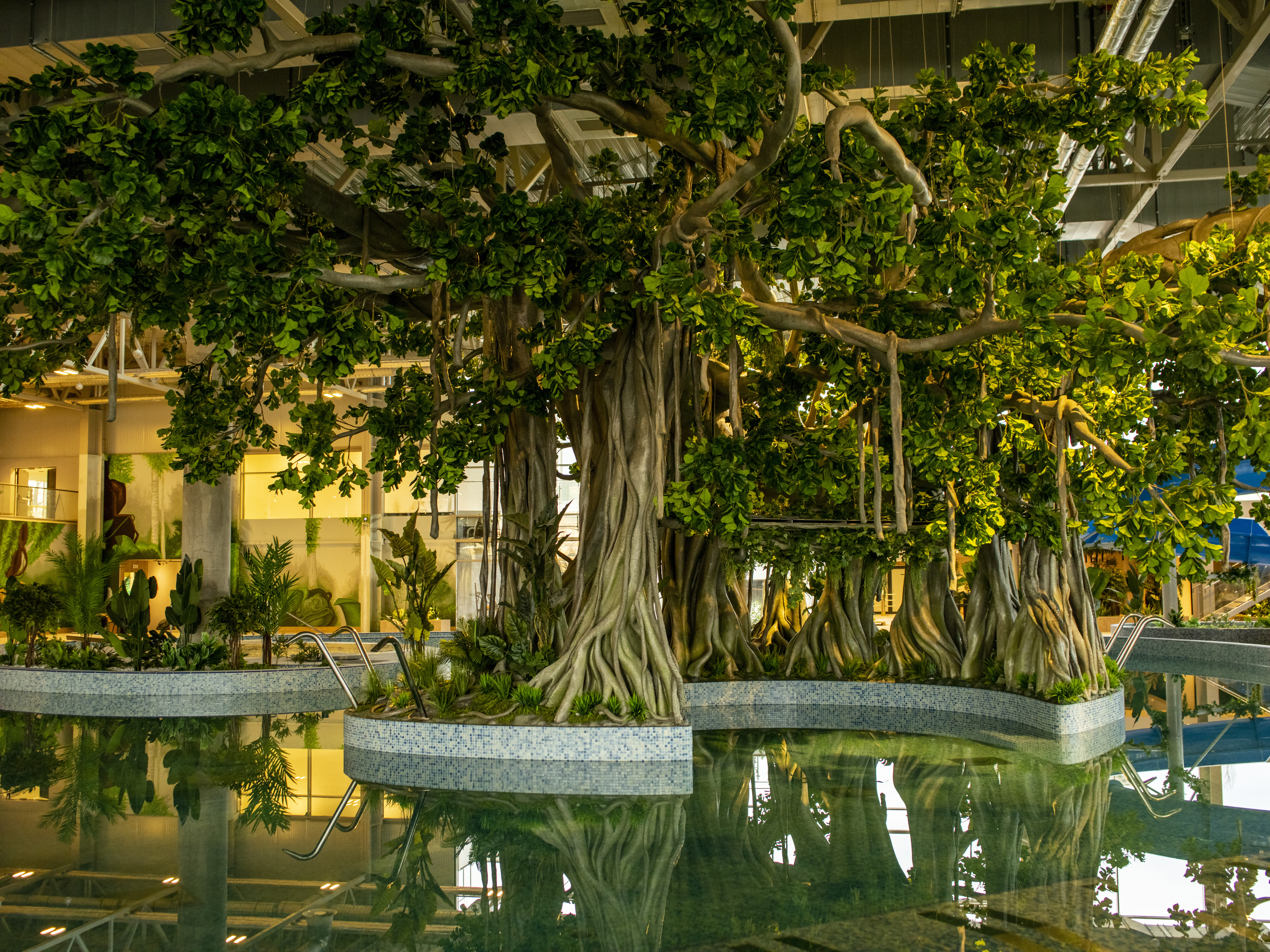 Amazonia_Sala_Bazinelor_Copac-Central-2