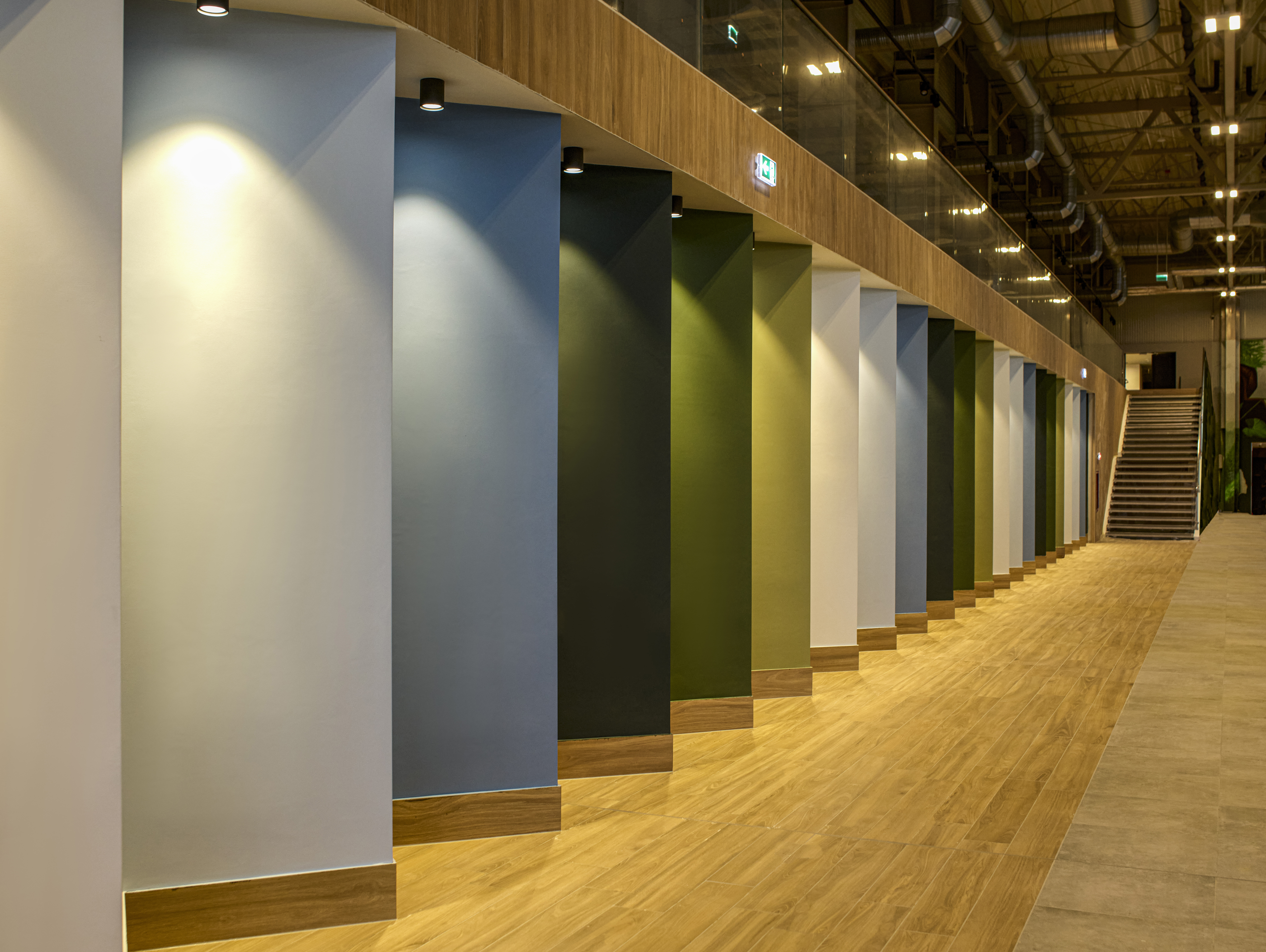 Amazonia_Sala_Bazinelor_Perete-Multicolor