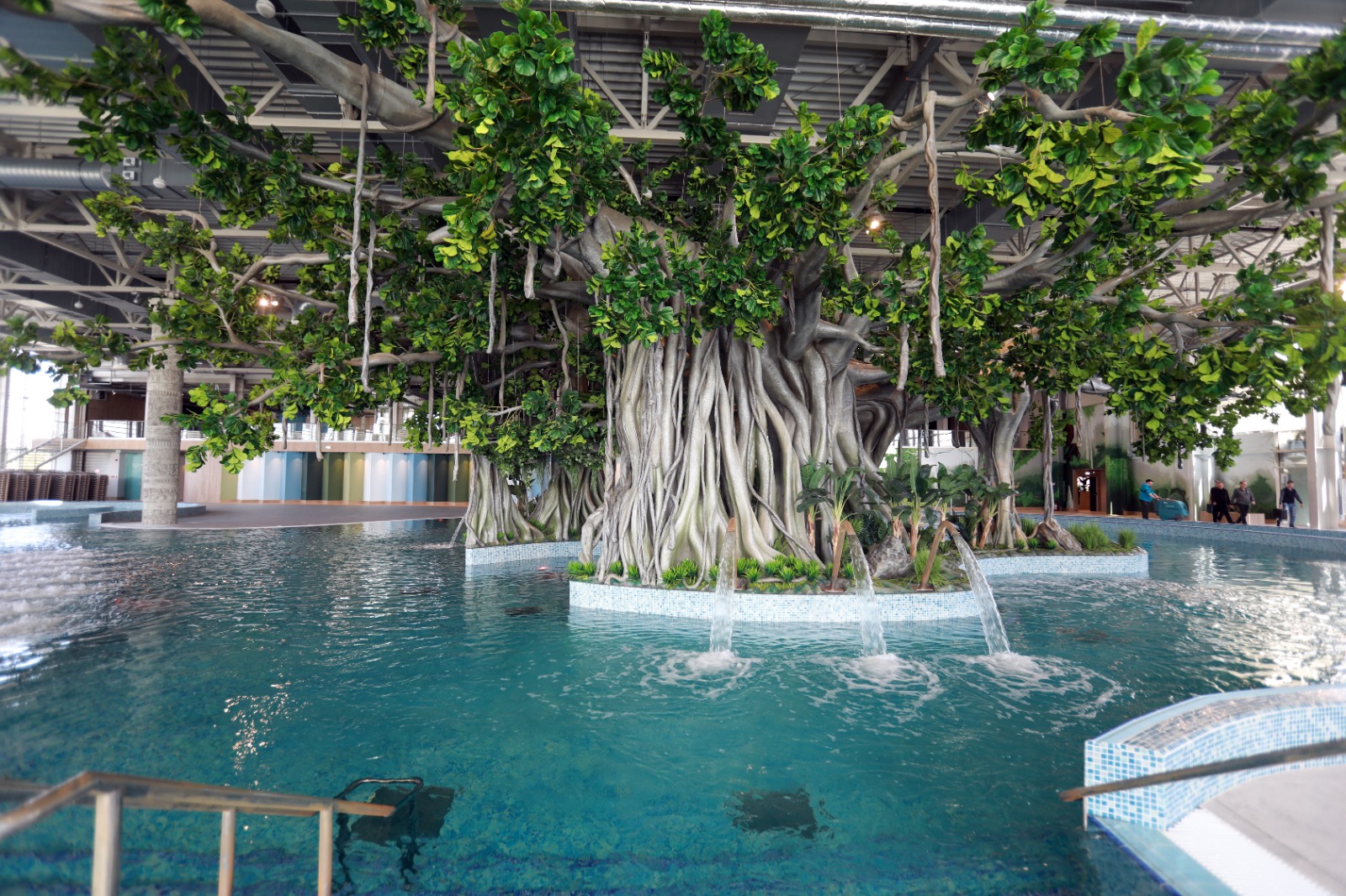 foto: Adrian Panduru