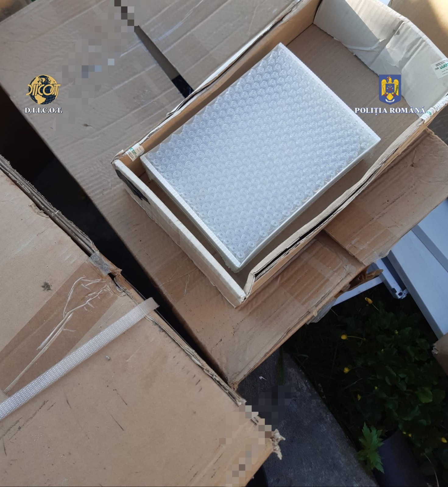 laborator steroizi diicot (3)