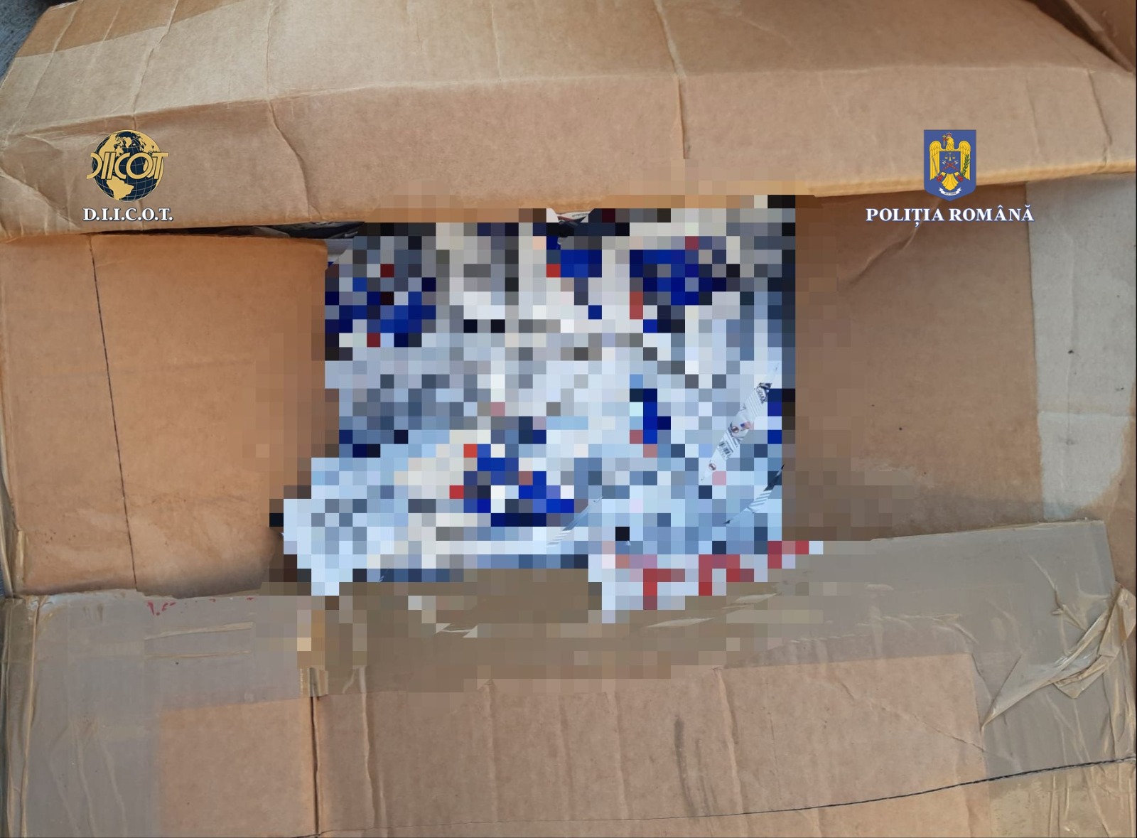 laborator steroizi diicot (4)