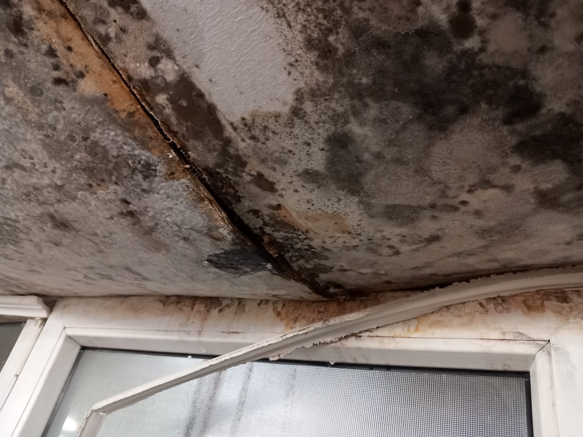 mizerie control opc timisoara sanandrei (50)