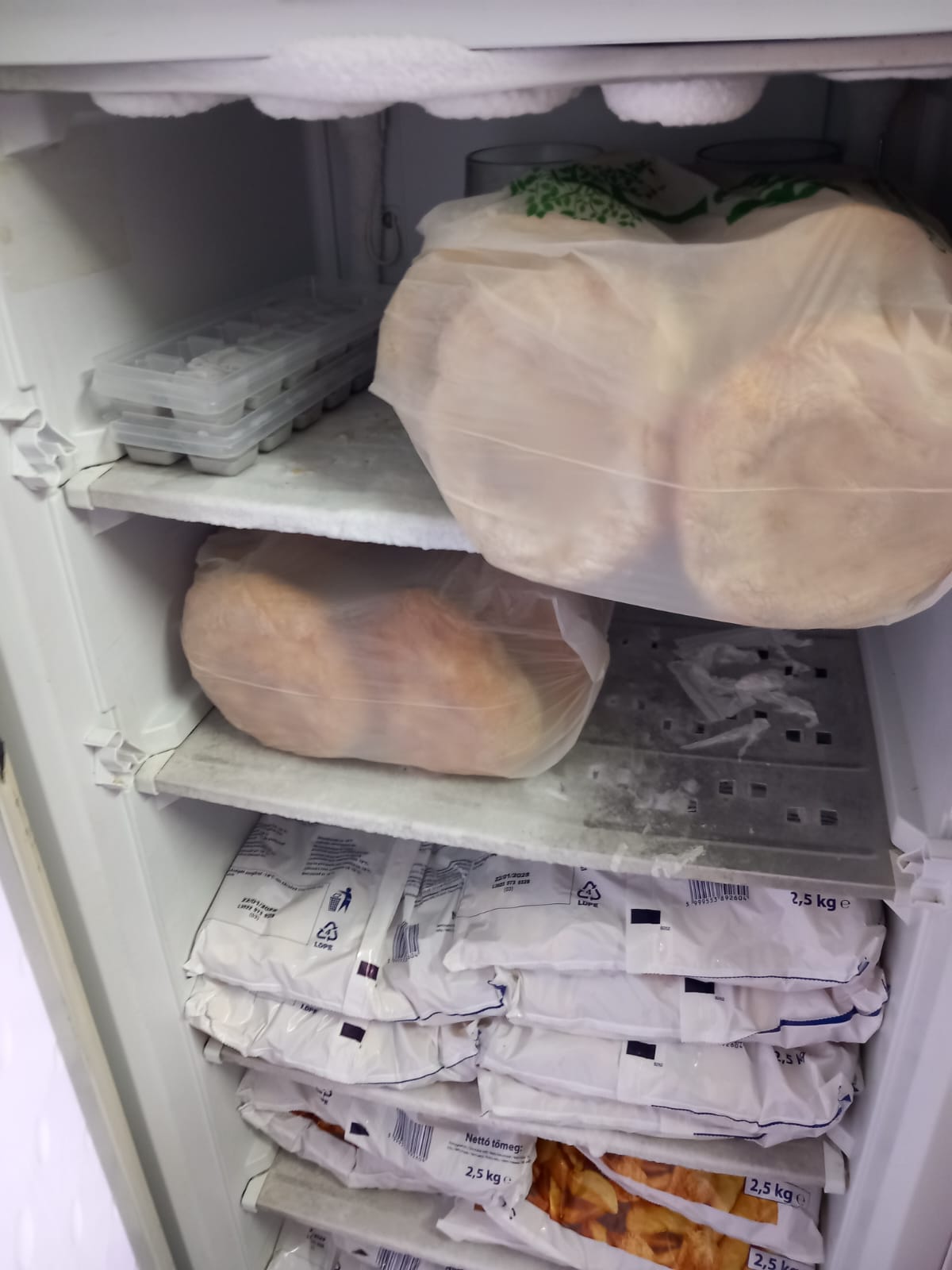 mizerie control opc timisoara sanandrei (55)