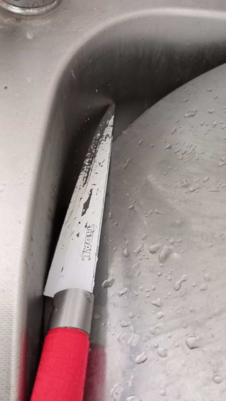 mizerie control opc timisoara sanandrei (76)