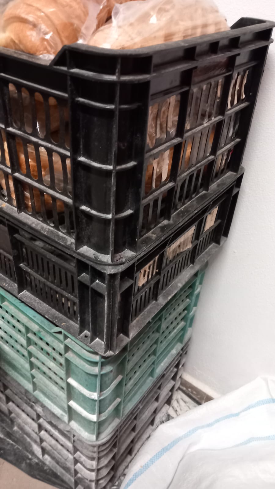 mizerie control opc timisoara sanandrei (83)