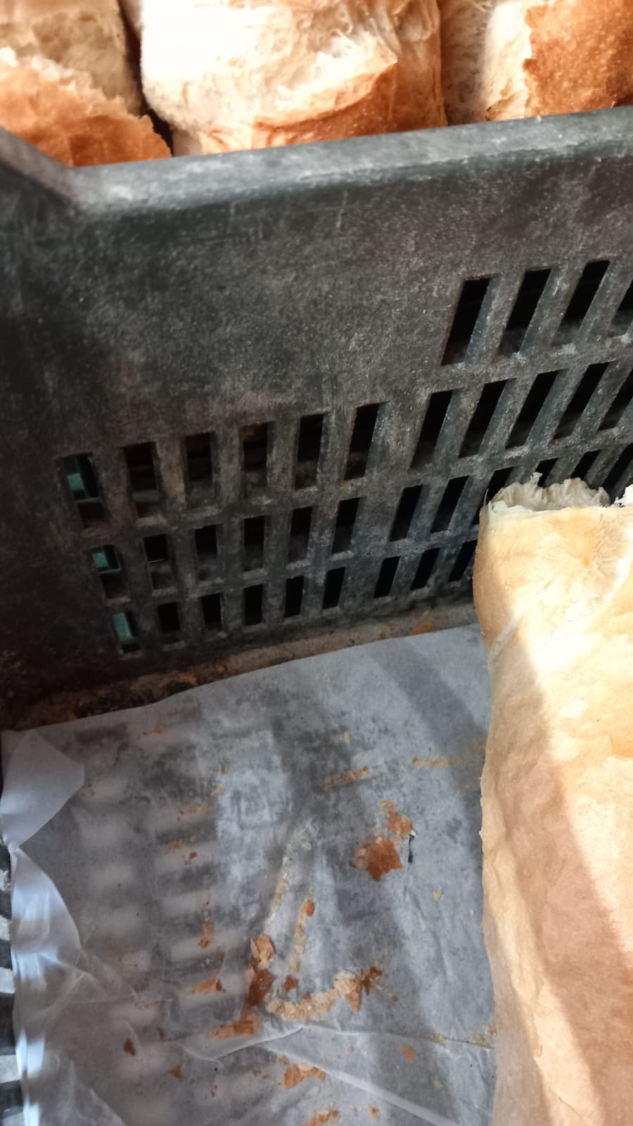 mizerie control opc timisoara sanandrei (92)