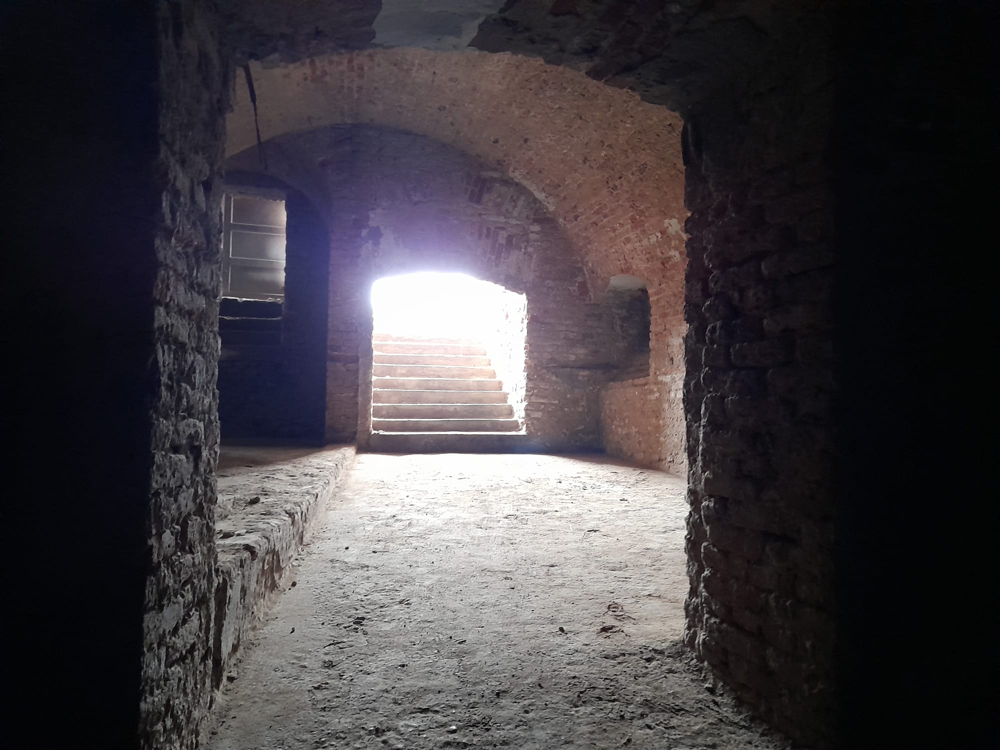 WhatsApp Image 2023-03-02 at 12.22.48 (1)