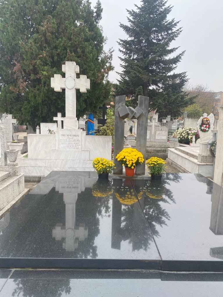 Mormânt vandalizat Peter Jecza (1)