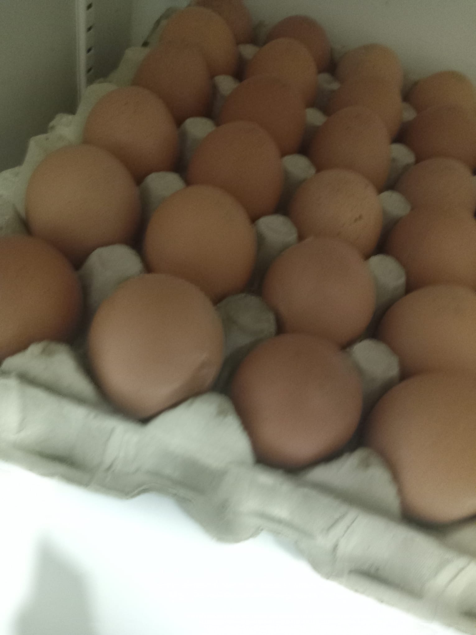 mizerie chang chen restaurant iulius mall opc (8)