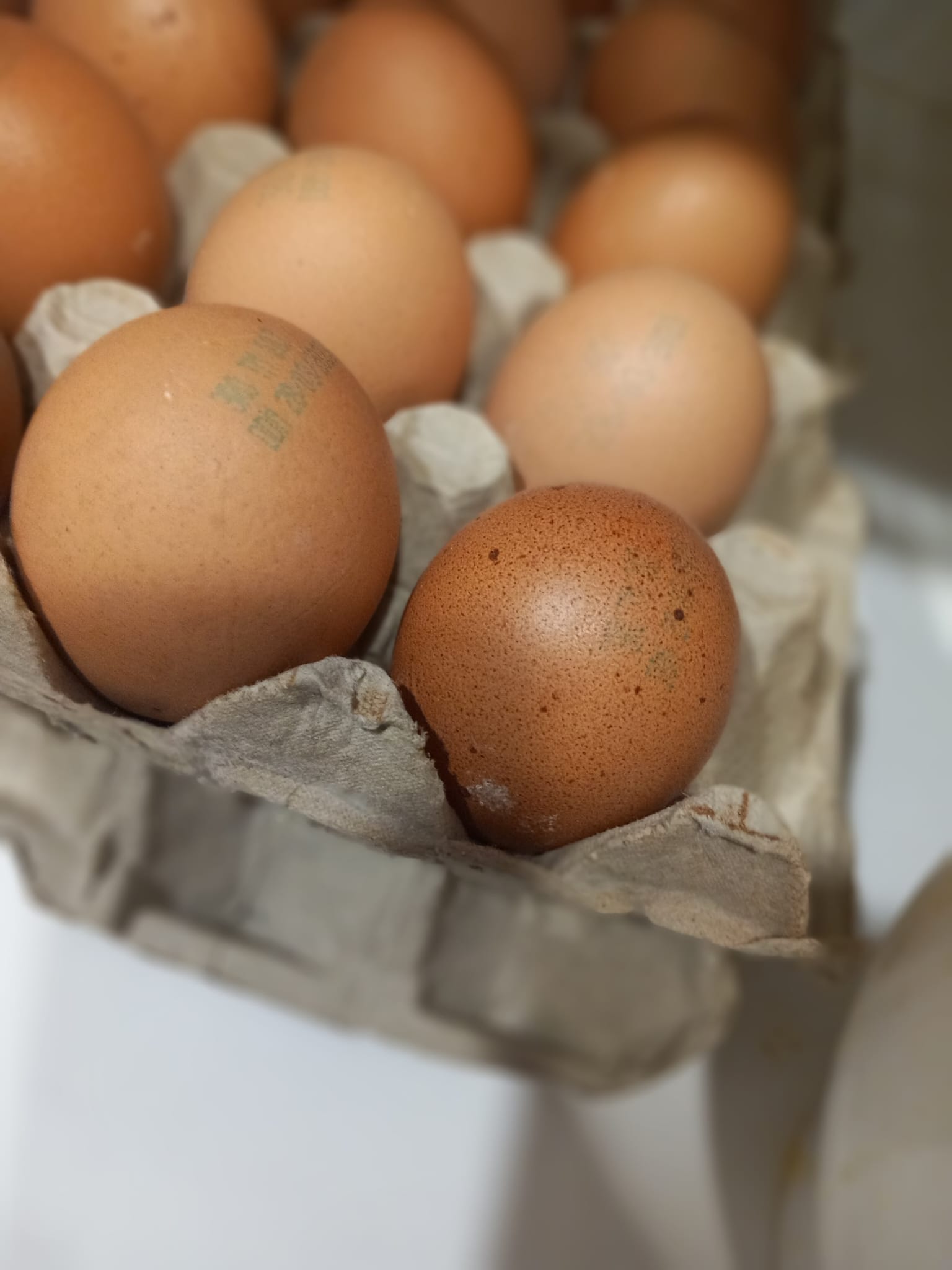 mizerie chang chen restaurant iulius mall opc (11)