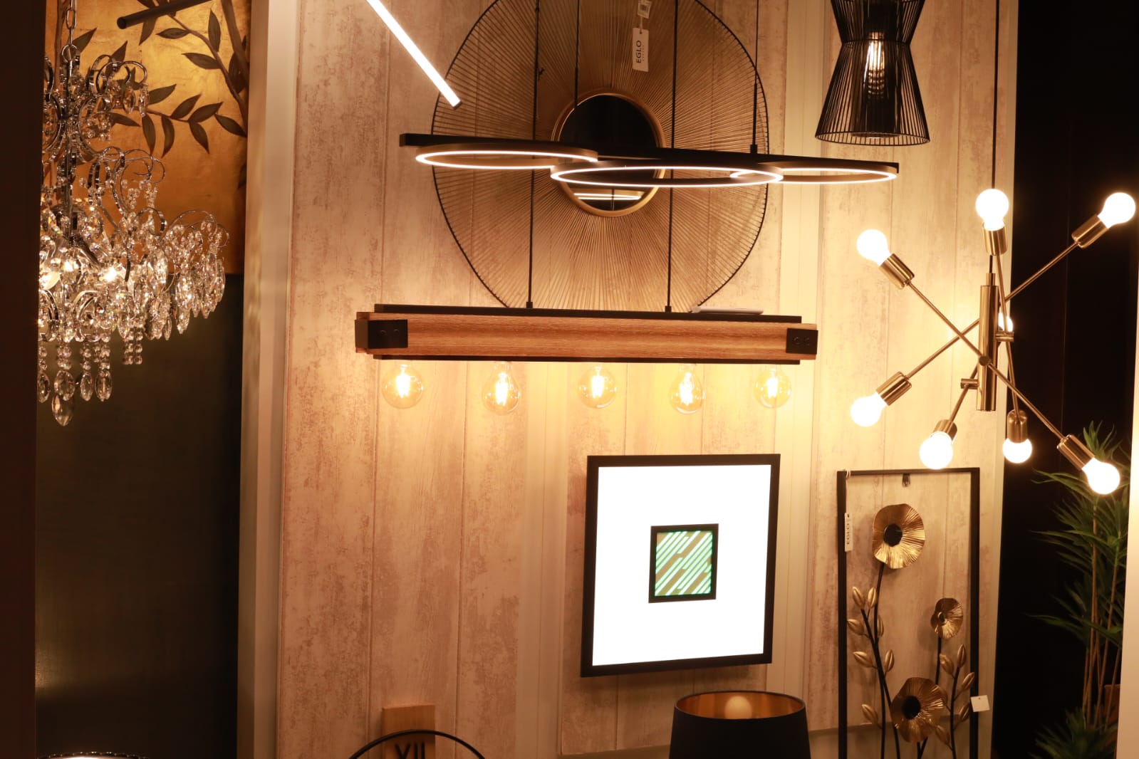 targul imobiliar timisoara tit (9)