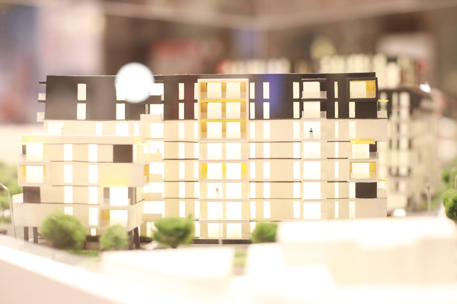 targul imobiliar timisoara tit (64)