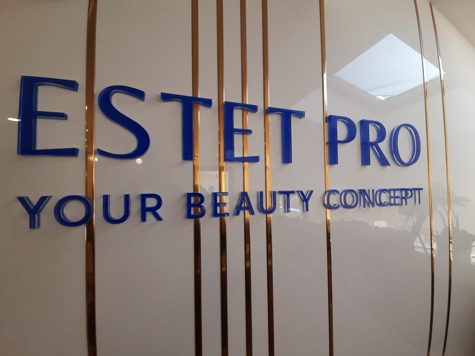 estet pro (12)