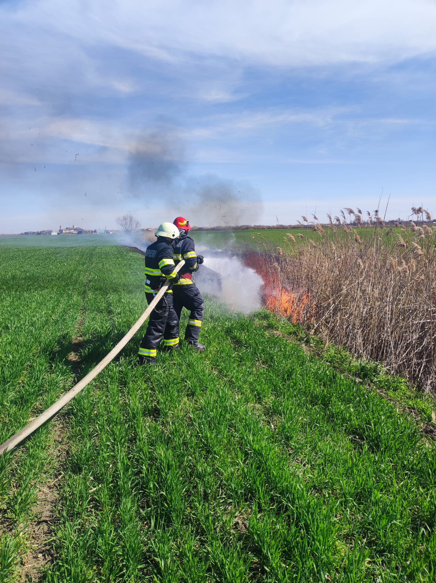 incendiu vegetatie dudestii vechi (1)