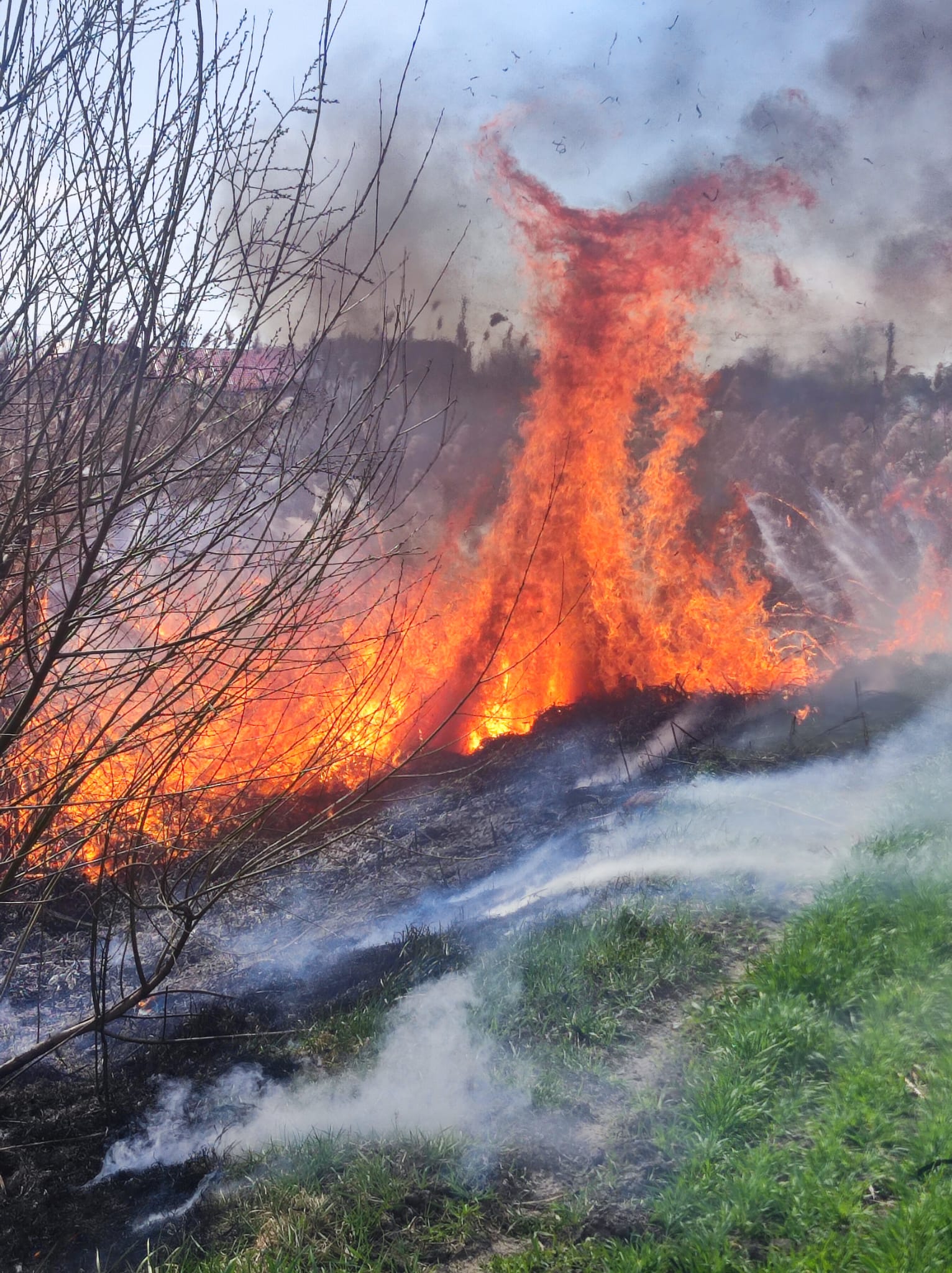 incendiu vegetatie dudestii vechi (3)