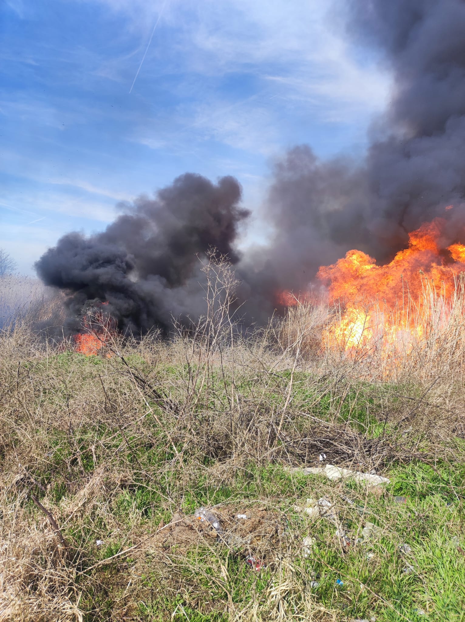 incendiu vegetatie dudestii vechi (4)