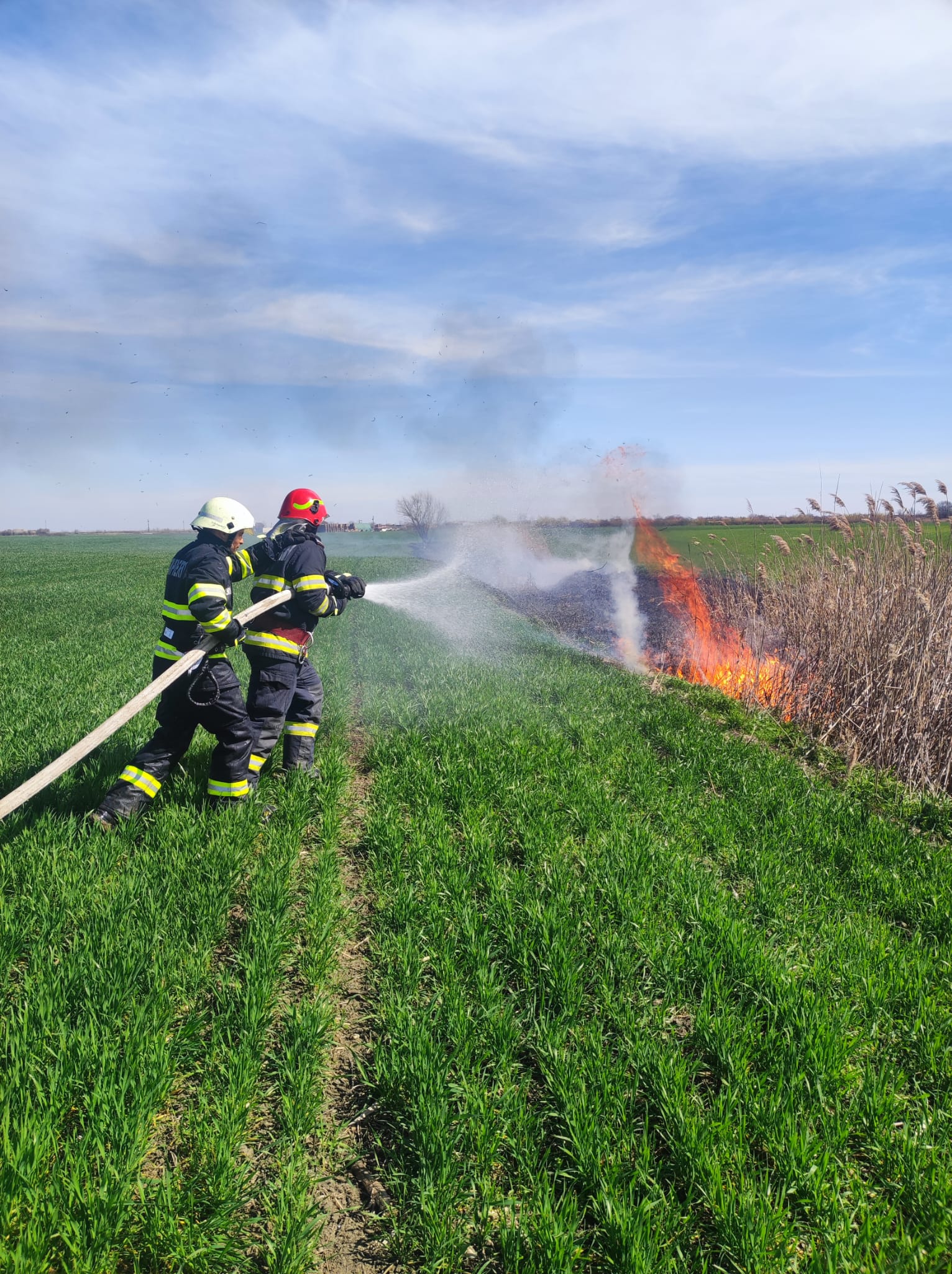 incendiu vegetatie dudestii vechi (6)