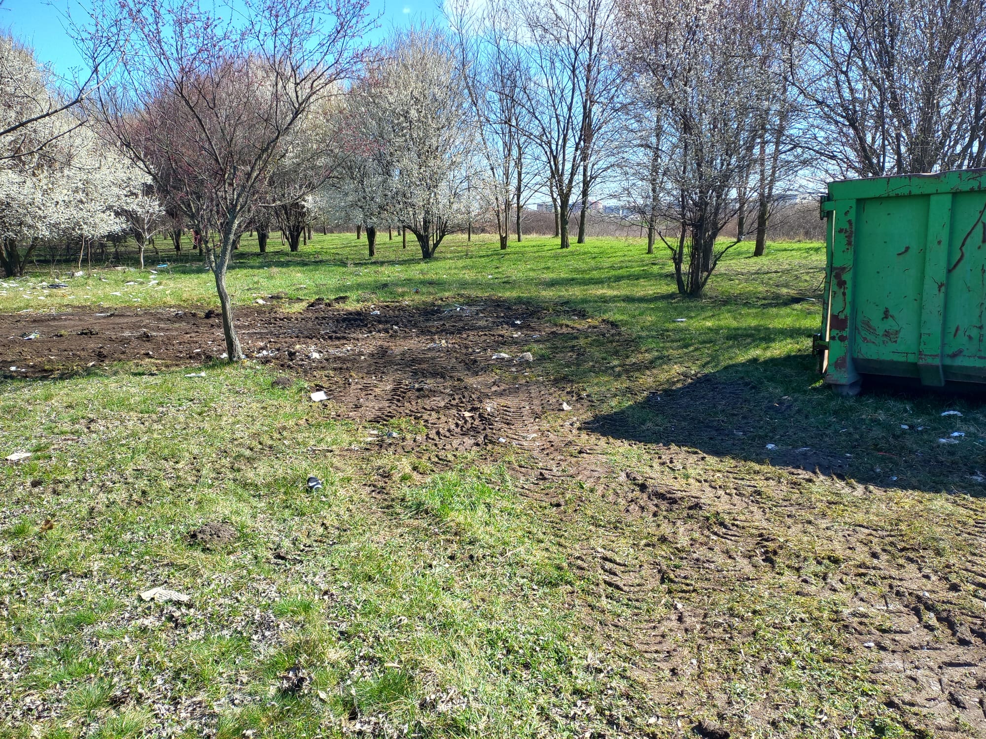 perdea forestiera deseuri (3)