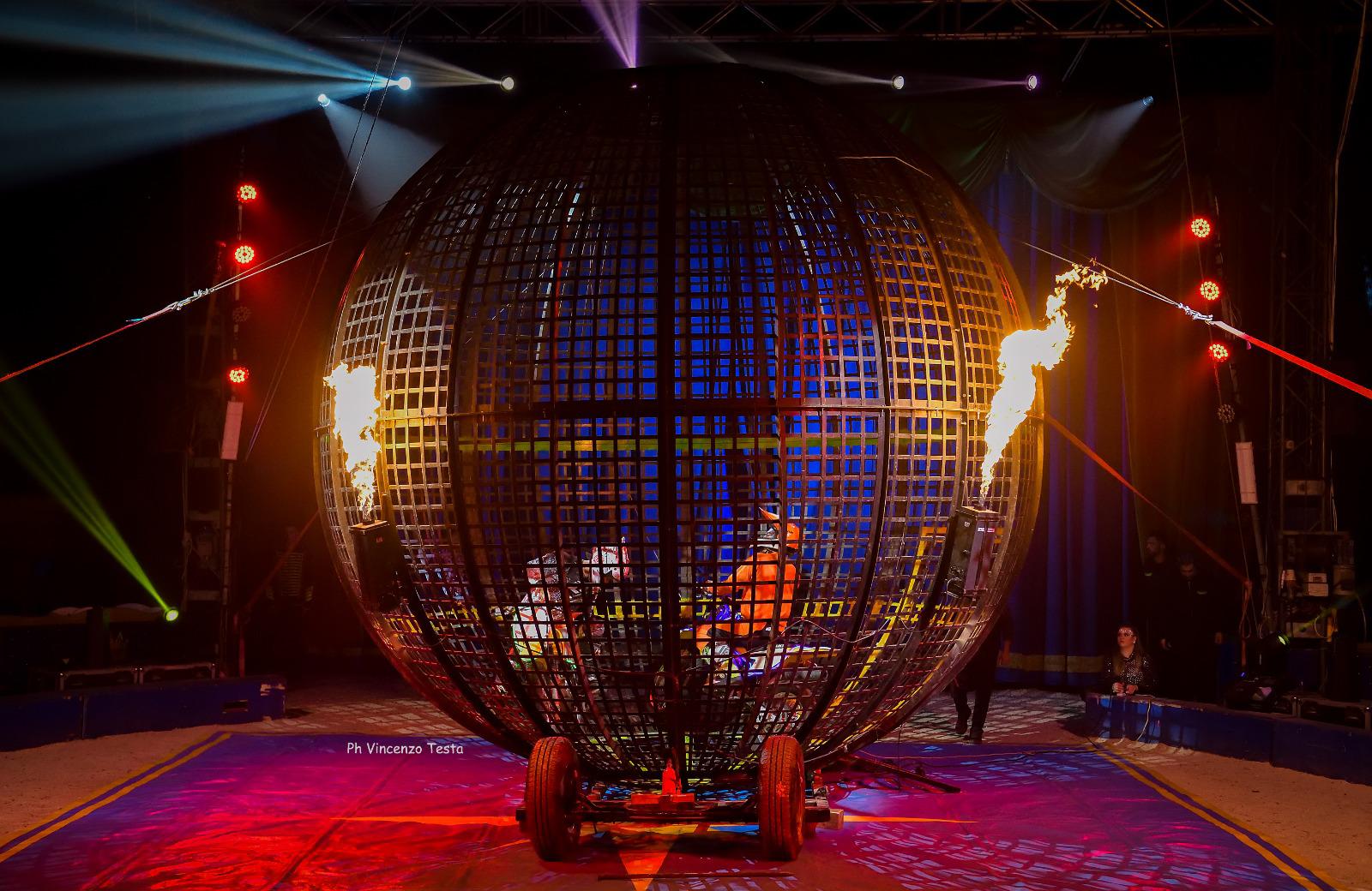 WhatsApp Image 2023-03-23 at 12.31.03 (1)