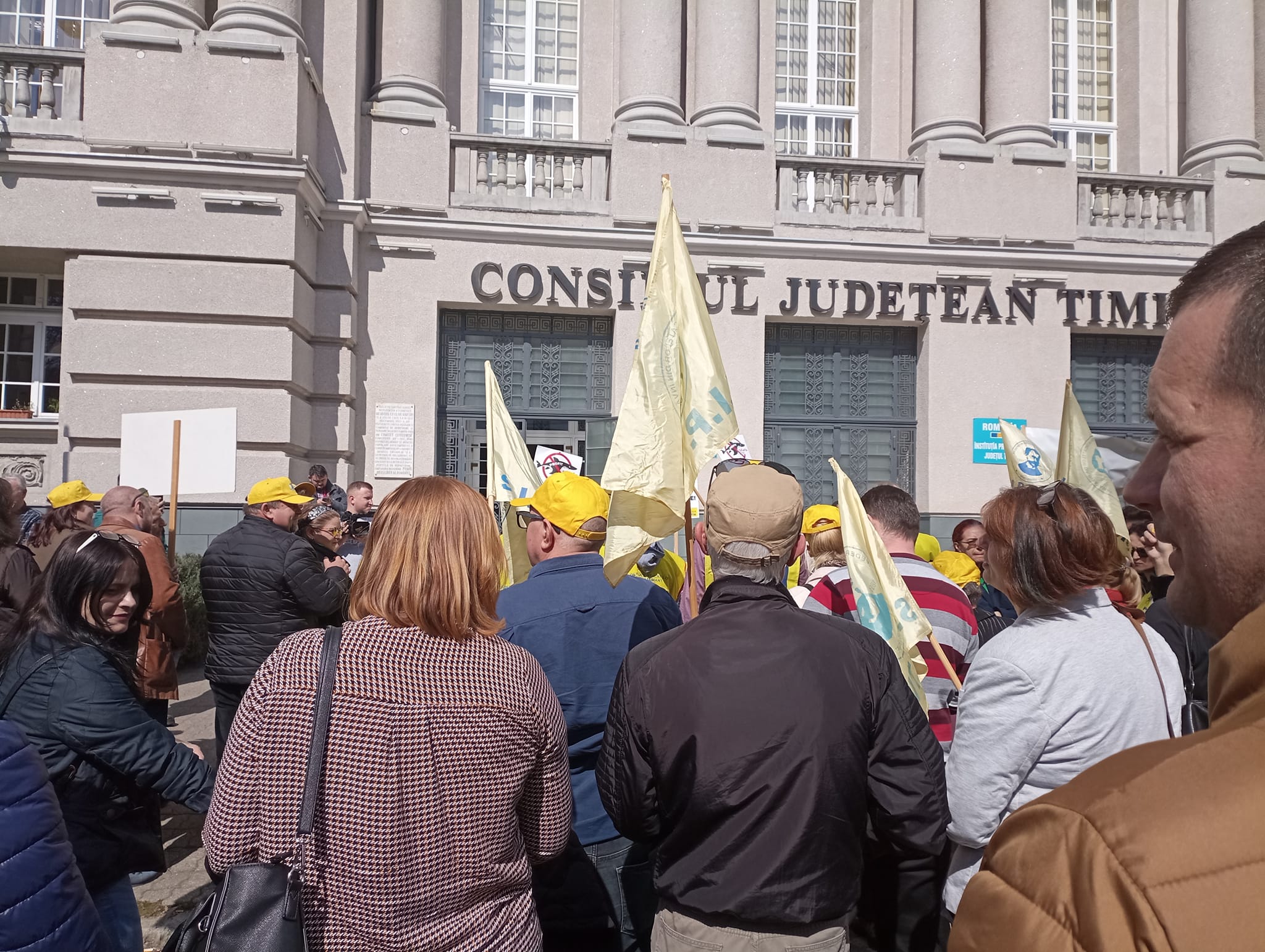 protest profesori prefectura (2)