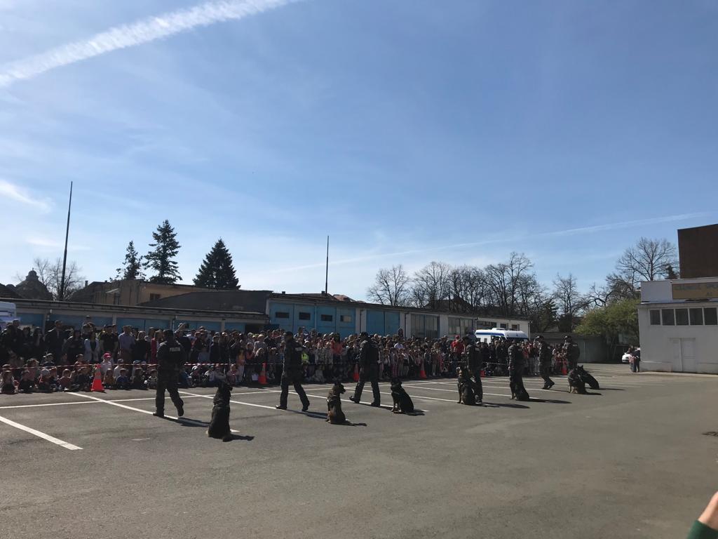 ziua portilor deschise ipj timis (28)