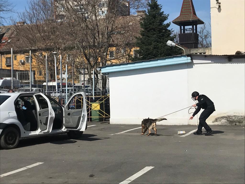 ziua portilor deschise ipj timis (34)