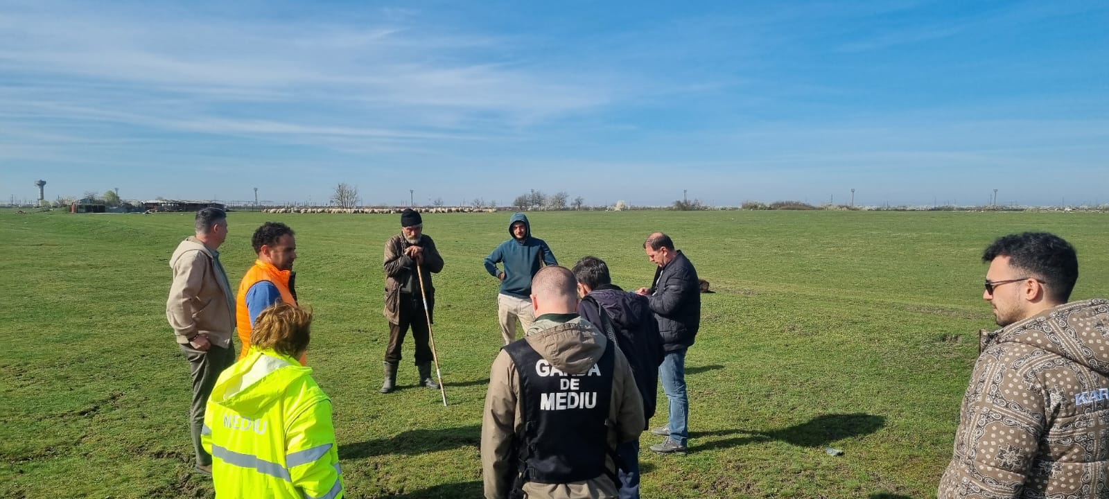 perdeaua forestiera (2)