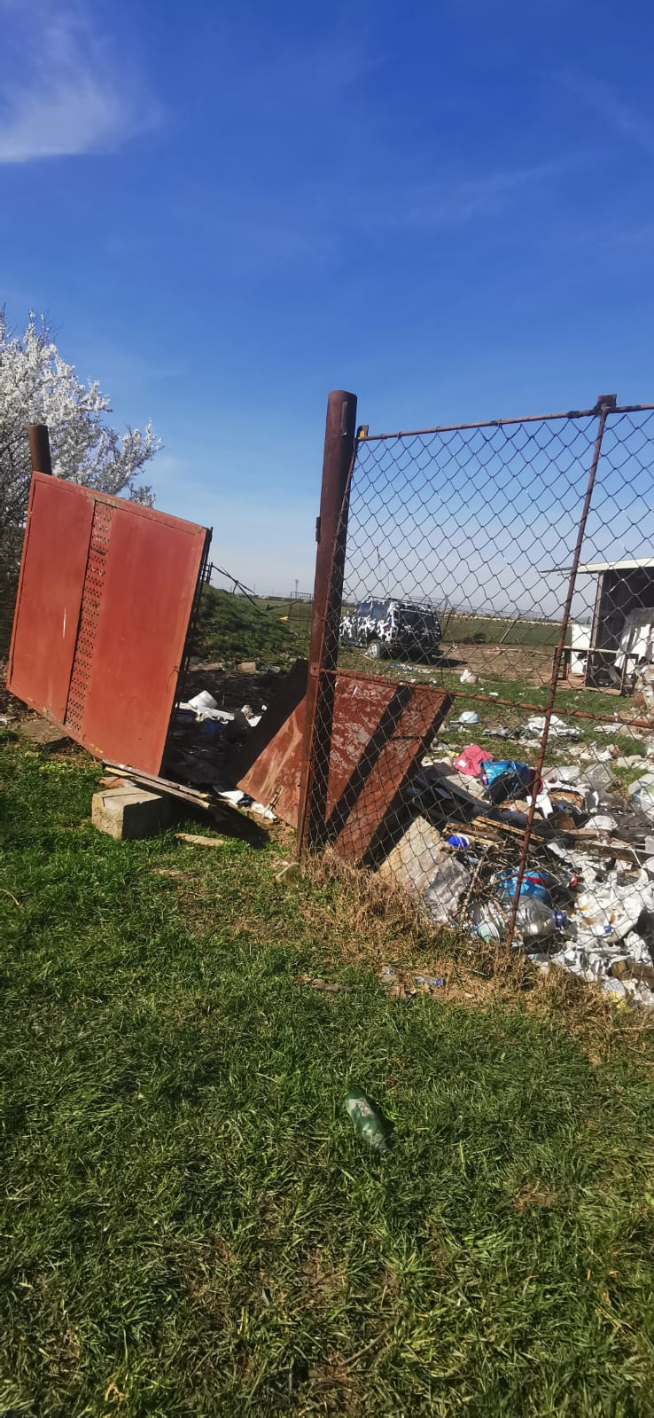 perdeaua forestiera (3)