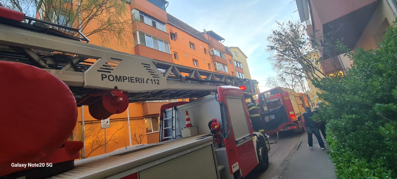 WhatsApp Image 2023-03-24 at 18.03.56