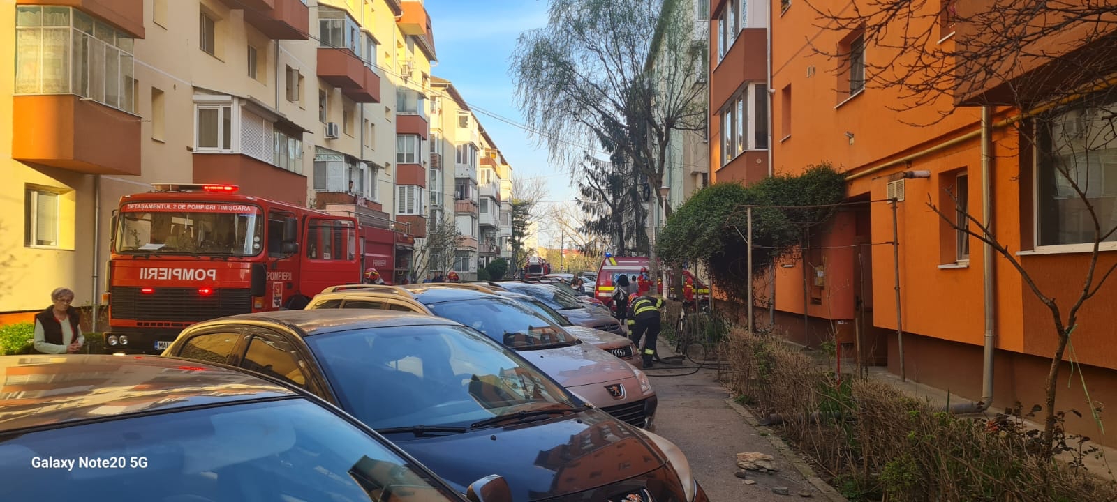 WhatsApp Image 2023-03-24 at 18.03.53