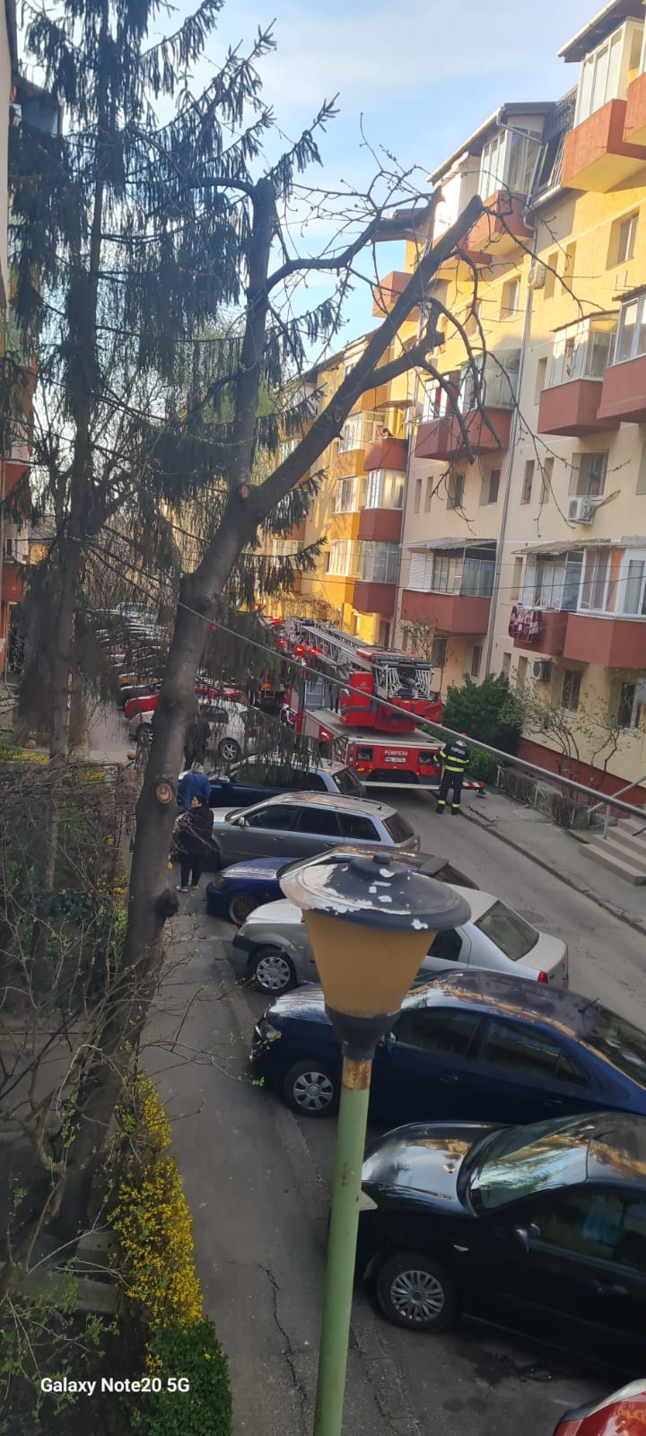 WhatsApp Image 2023-03-24 at 18.03.52