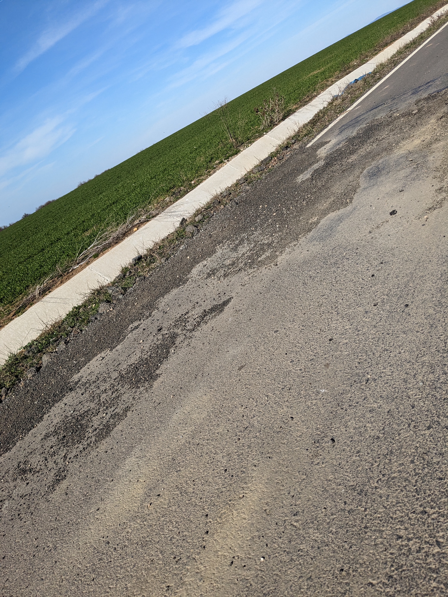 WhatsApp Image 2023-03-22 at 13.28.44 (2)