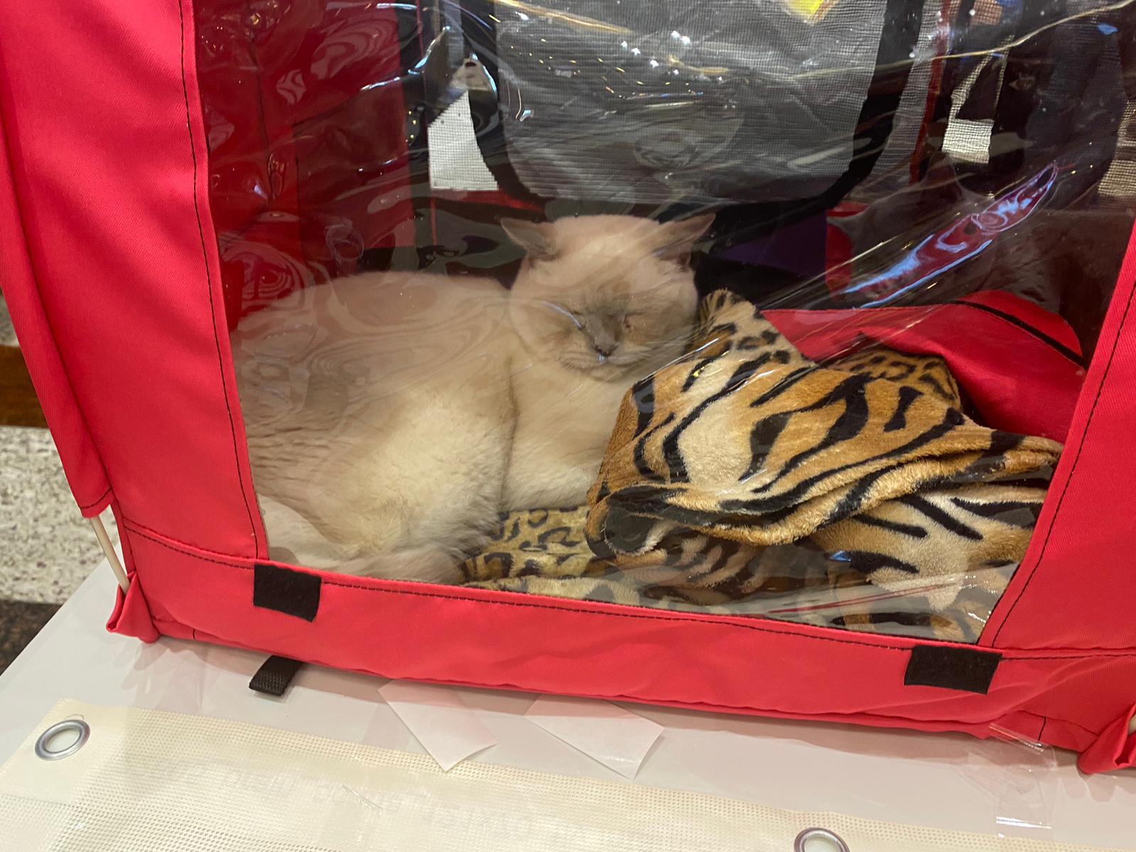 WhatsApp Image 2023-03-25 at 11.10.05