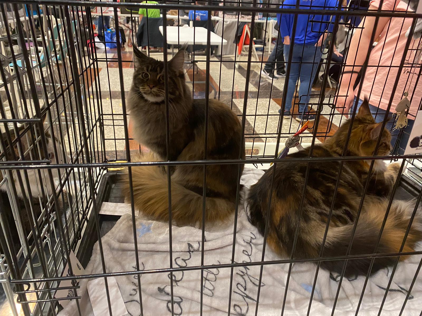 WhatsApp Image 2023-03-25 at 11.10.05 (1)