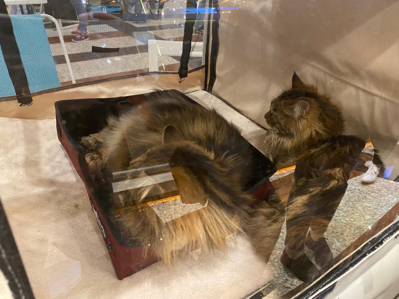 WhatsApp Image 2023-03-25 at 11.10.04 (1)