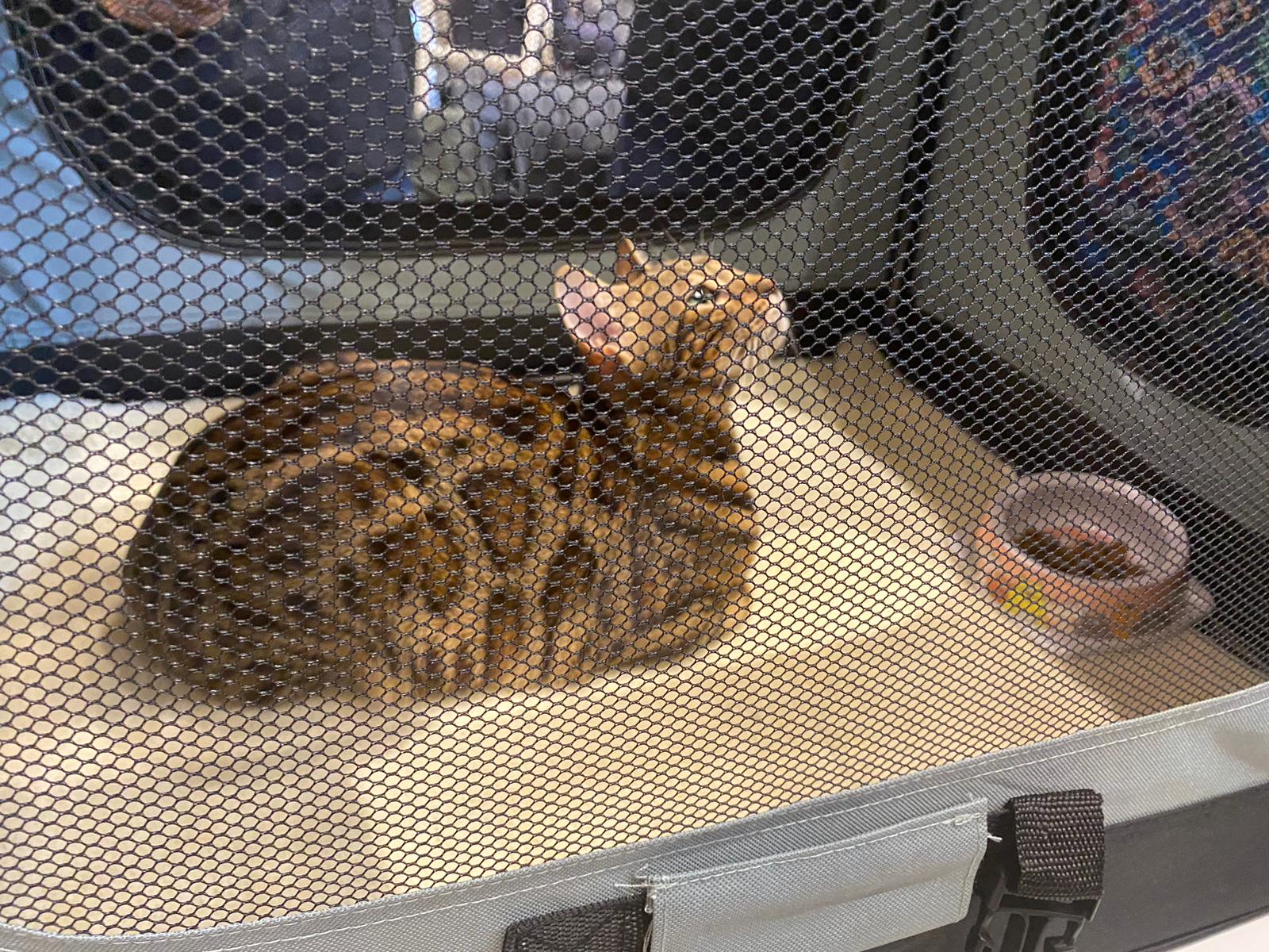 WhatsApp Image 2023-03-25 at 11.10.03 (1)