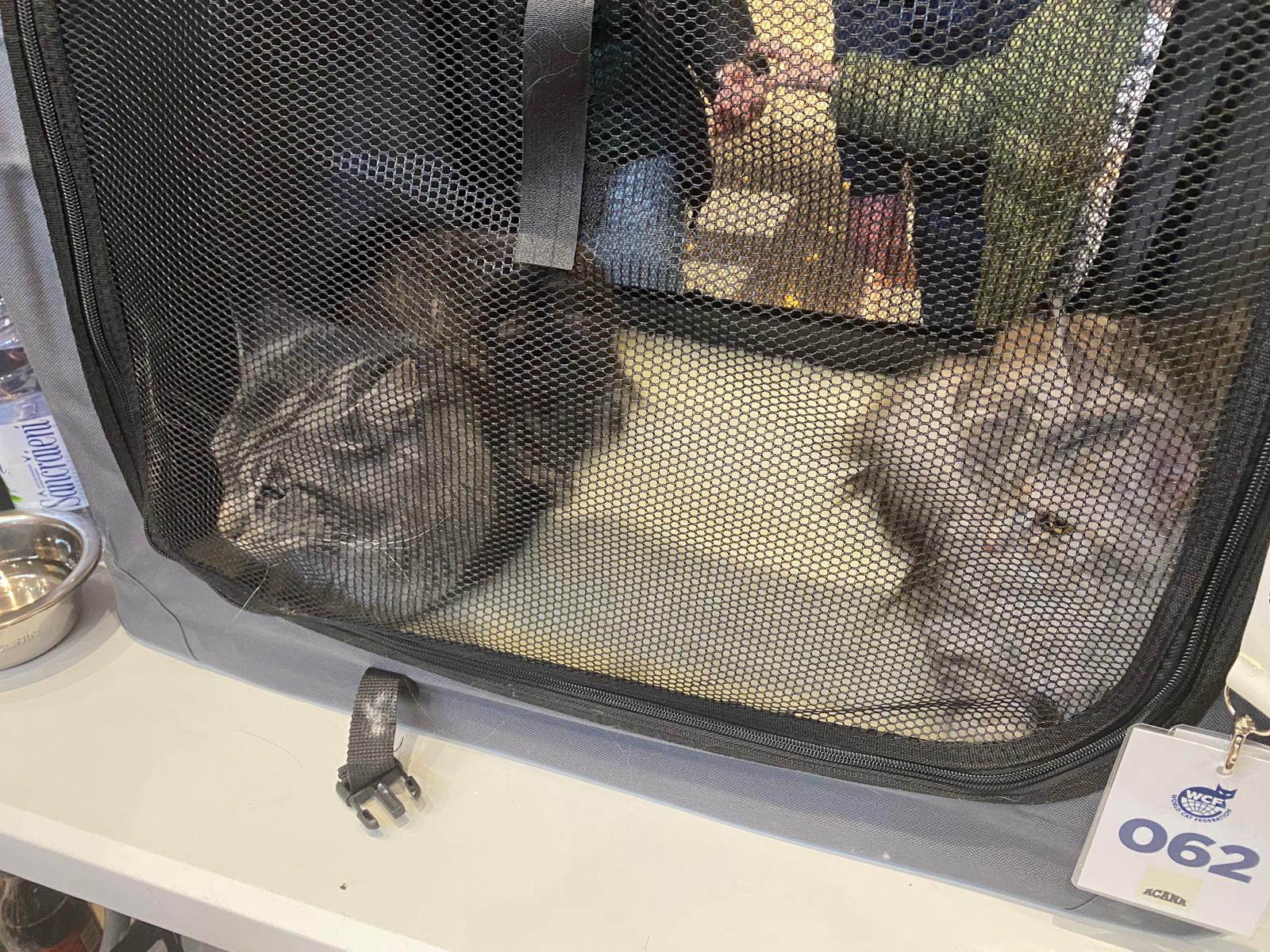 WhatsApp Image 2023-03-25 at 11.10.04