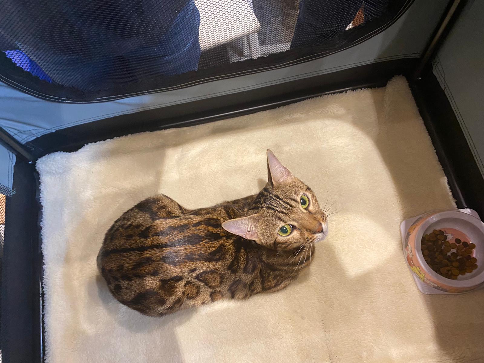 WhatsApp Image 2023-03-25 at 11.10.03