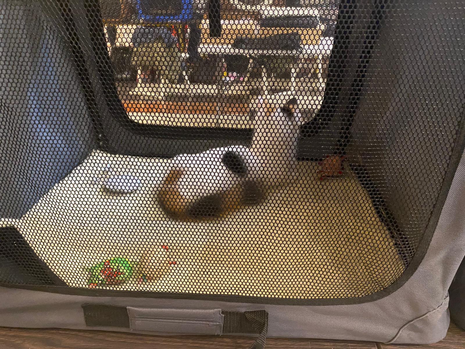 WhatsApp Image 2023-03-25 at 11.10.02