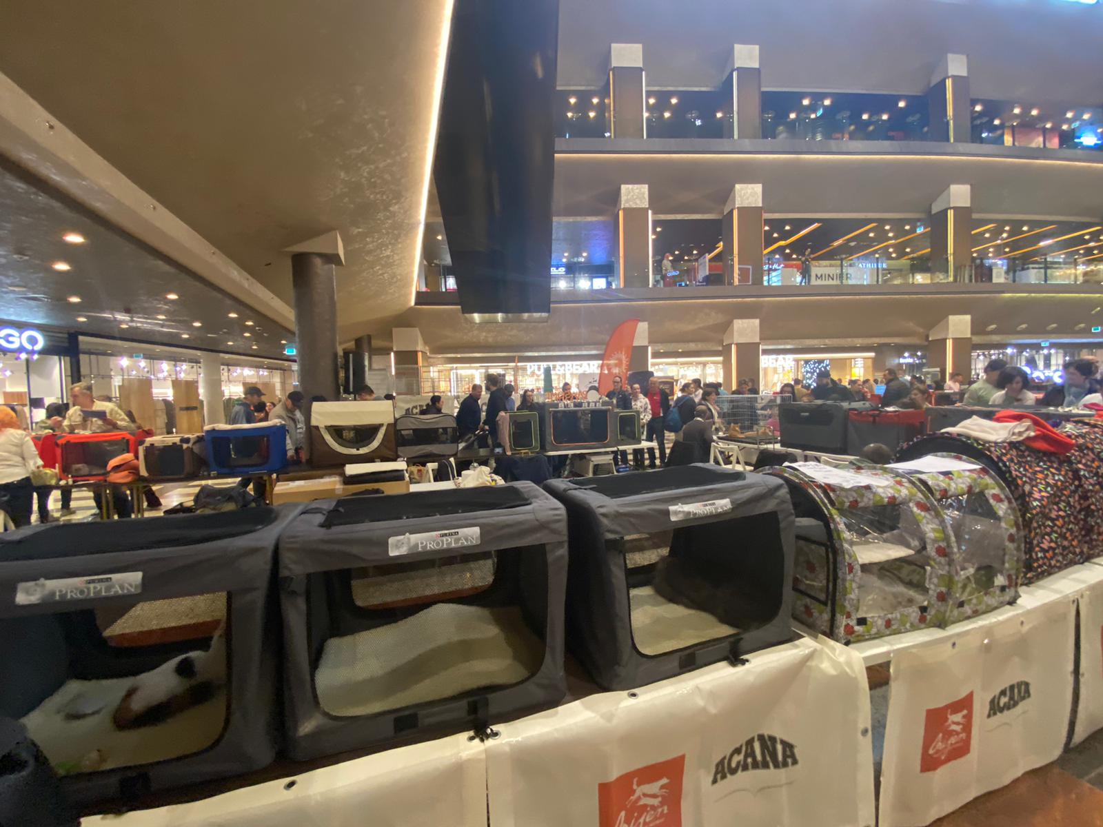 WhatsApp Image 2023-03-25 at 11.10.02 (1)