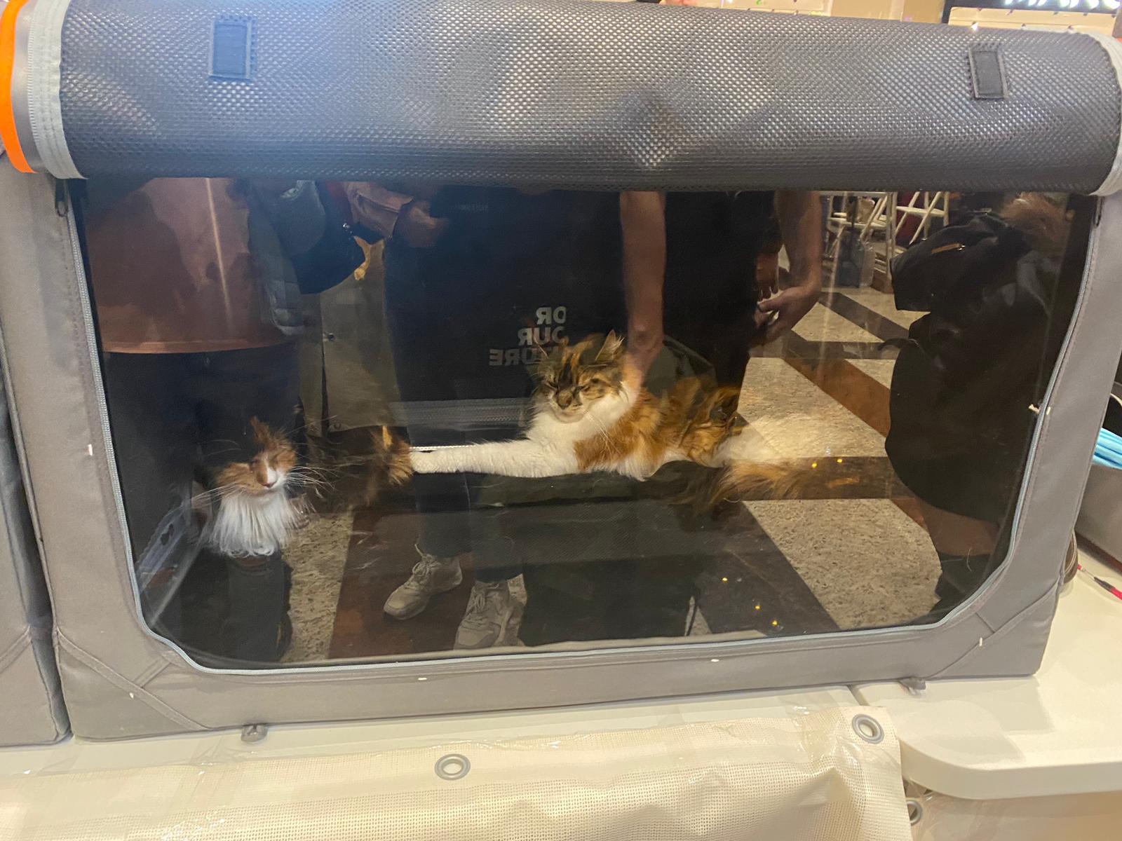 WhatsApp Image 2023-03-25 at 11.10.00 (3)