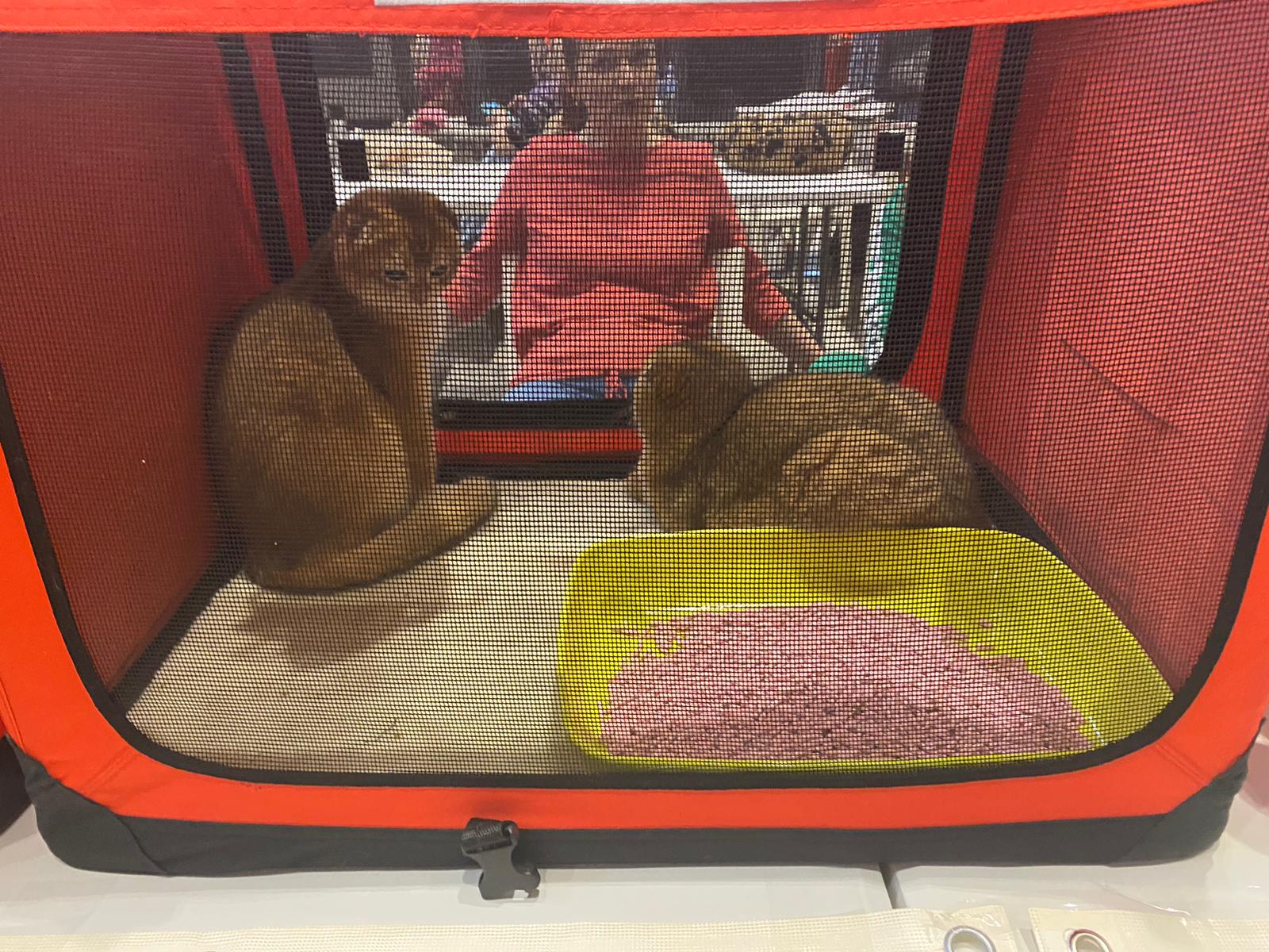 WhatsApp Image 2023-03-25 at 11.10.00 (1)