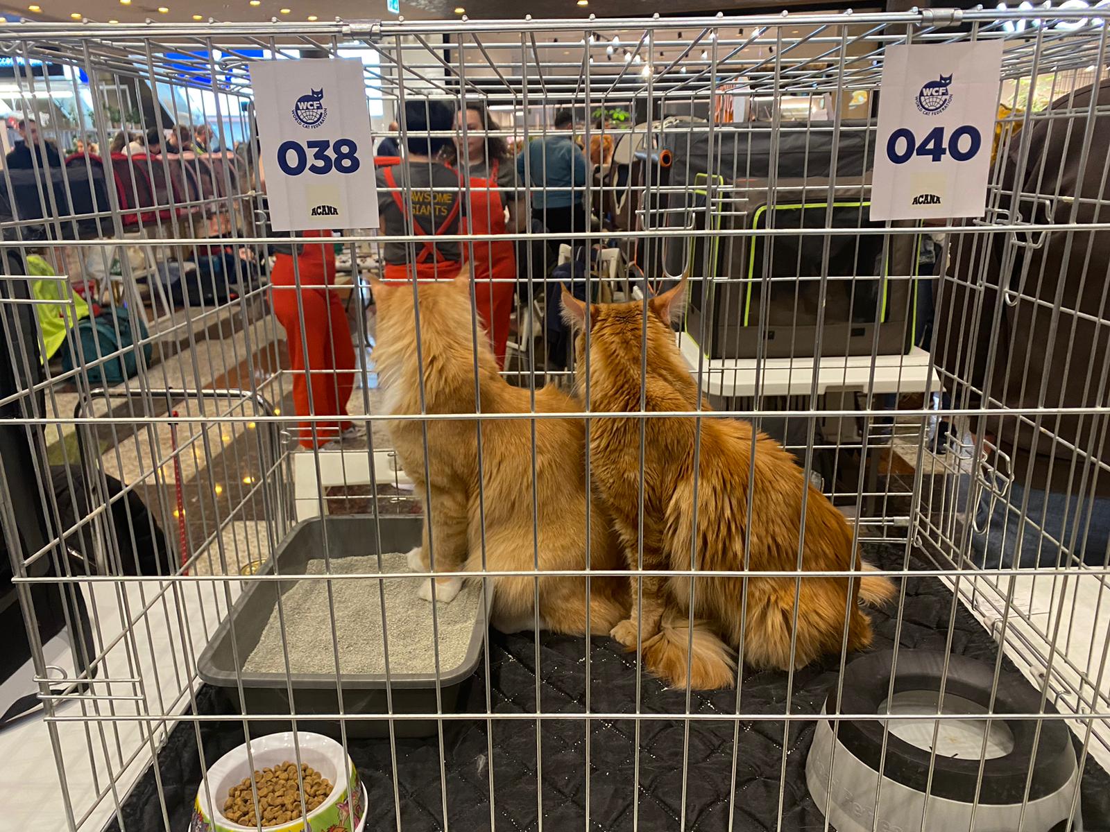 WhatsApp Image 2023-03-25 at 11.10.00 (2)