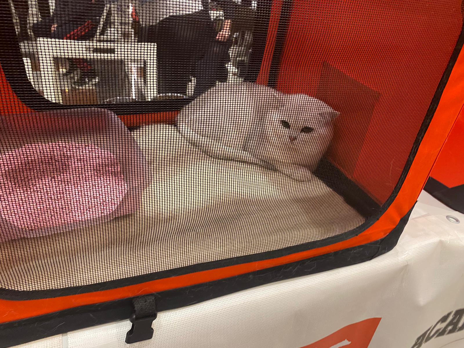 WhatsApp Image 2023-03-25 at 11.10.00