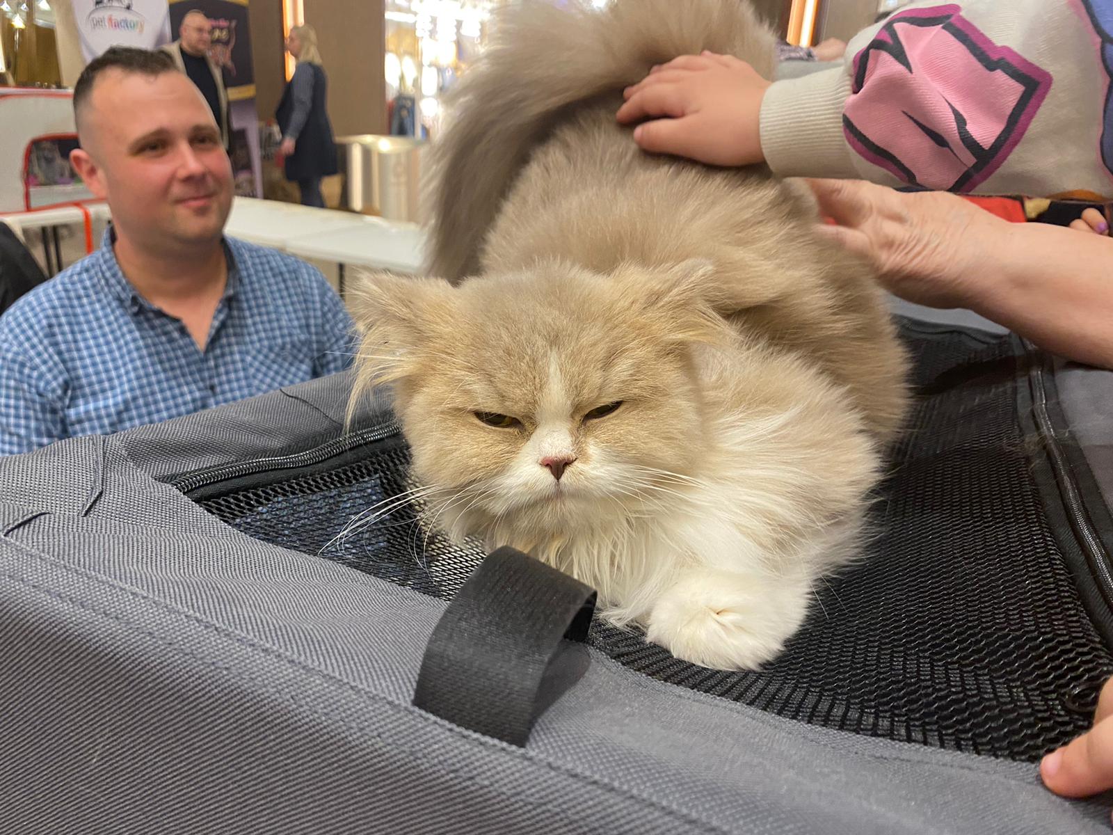 WhatsApp Image 2023-03-25 at 11.09.58