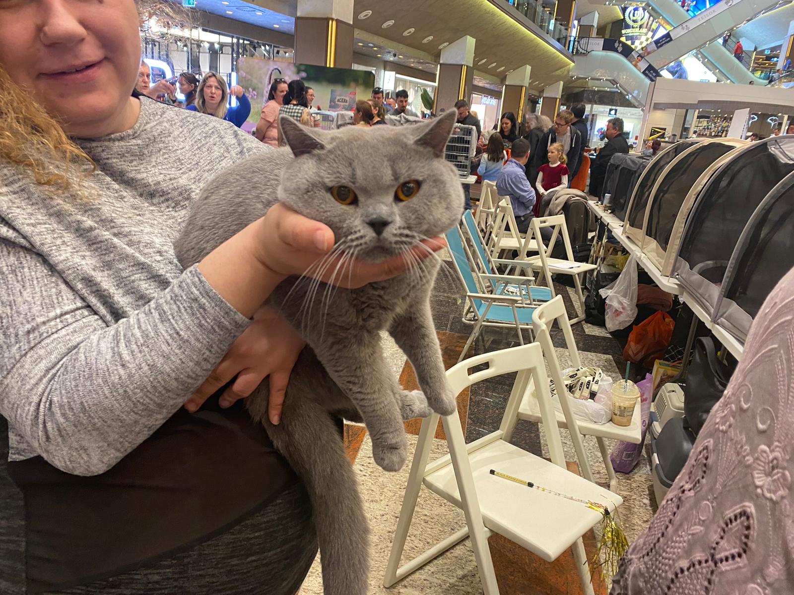 WhatsApp Image 2023-03-25 at 11.09.59